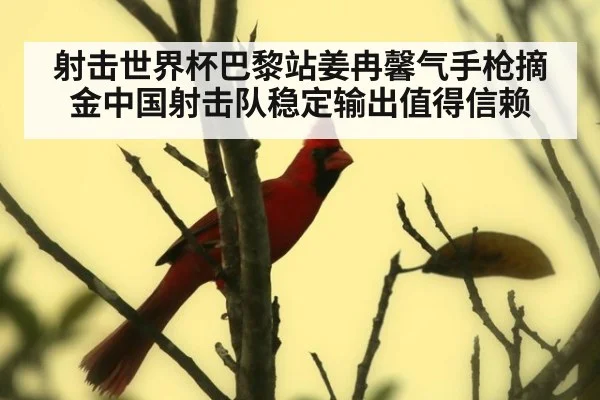 射击世界杯巴黎站姜冉馨气手枪摘金中国射击队稳定输出值得信赖